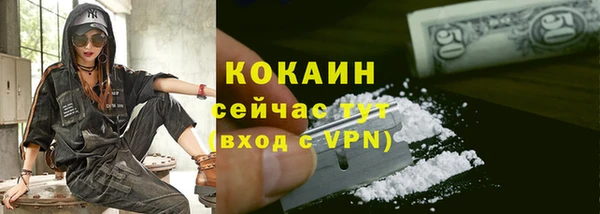 молекула духа Кулебаки